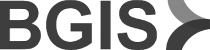 BGIS